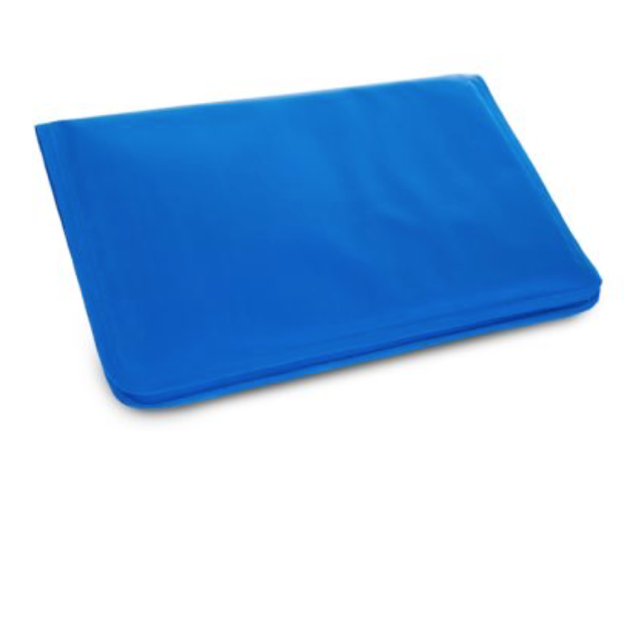 Cooling Gel Pillow Object